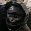 宇宙无敌闪光帅爆龙战士
