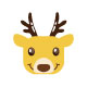 ___Xiao杨