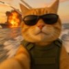 没猫兵啊