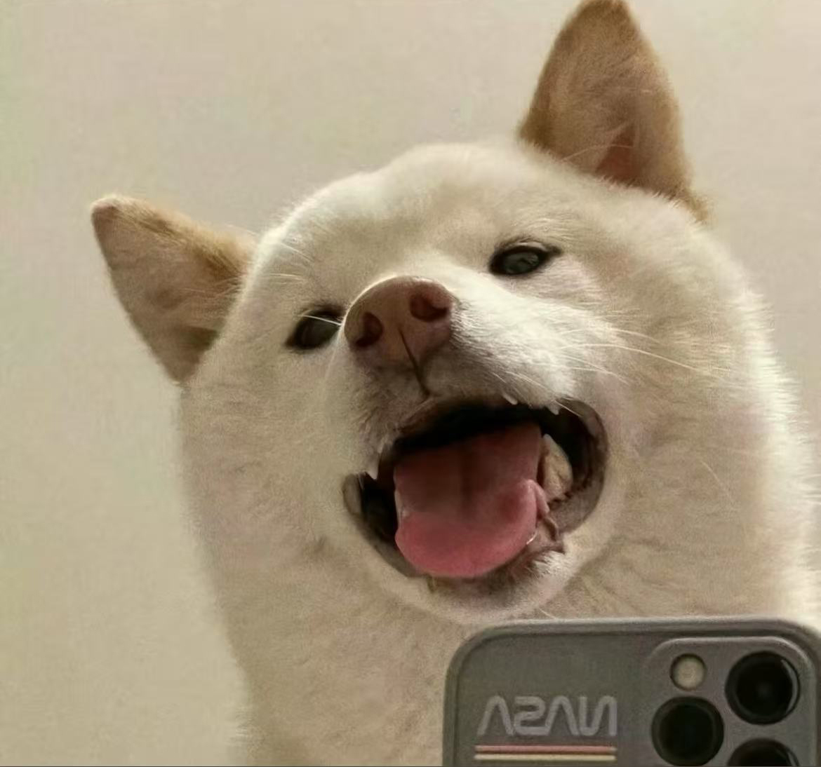 迪迦凹凸曼