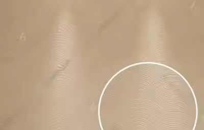 硅藻泥是什么？硅藻泥有哪些优缺点？