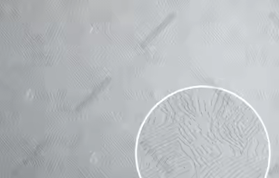 硅藻泥好用吗？硅藻泥优缺点解析