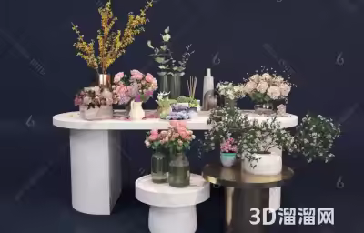 玄关处摆什么对风水好？