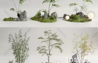 怎么在客厅打造景观小品？