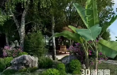 植物在园林设计中的配置方法