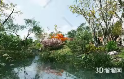 园林景观树都有哪些？景观树种类介绍