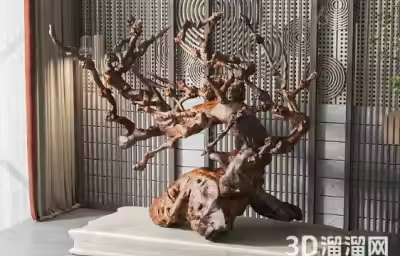 摆件家居木材有哪些材质？
