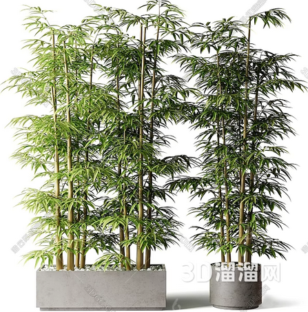 客厅风水中适合摆放什么植物? 客厅风水中适合摆放什么植物?