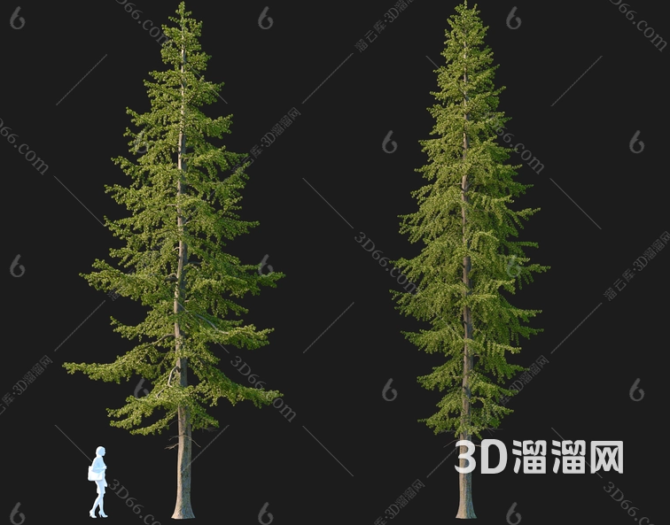 落叶松木材贴图在室内设计中有哪些应用？