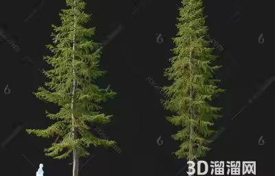 落叶松木材贴图在室内设计中有哪些应用？