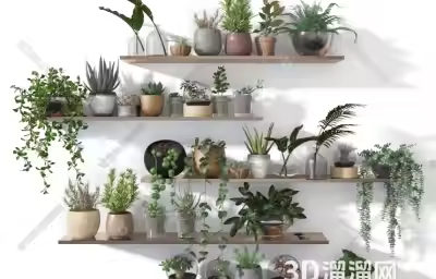 怎么选择合适的墙面植物展示架？