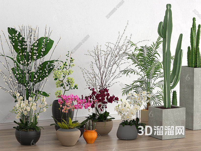 增加生活趣味的摆件有哪些？-3d溜溜网
