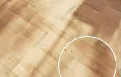 桦木地板怎么样？优缺点介绍