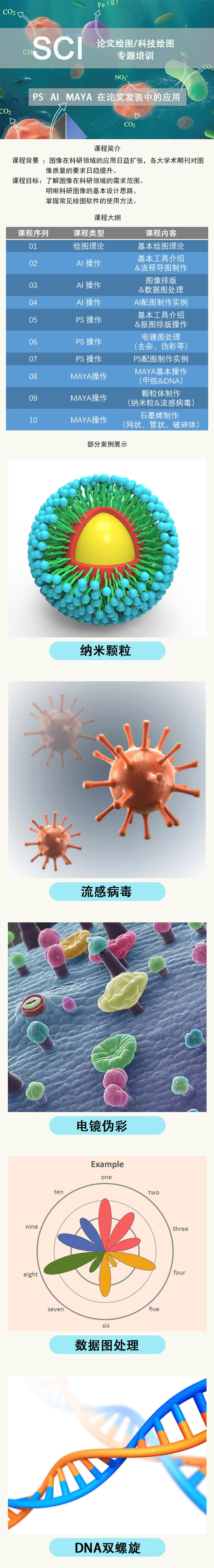 SCI论文配图/科技绘图 综合课程