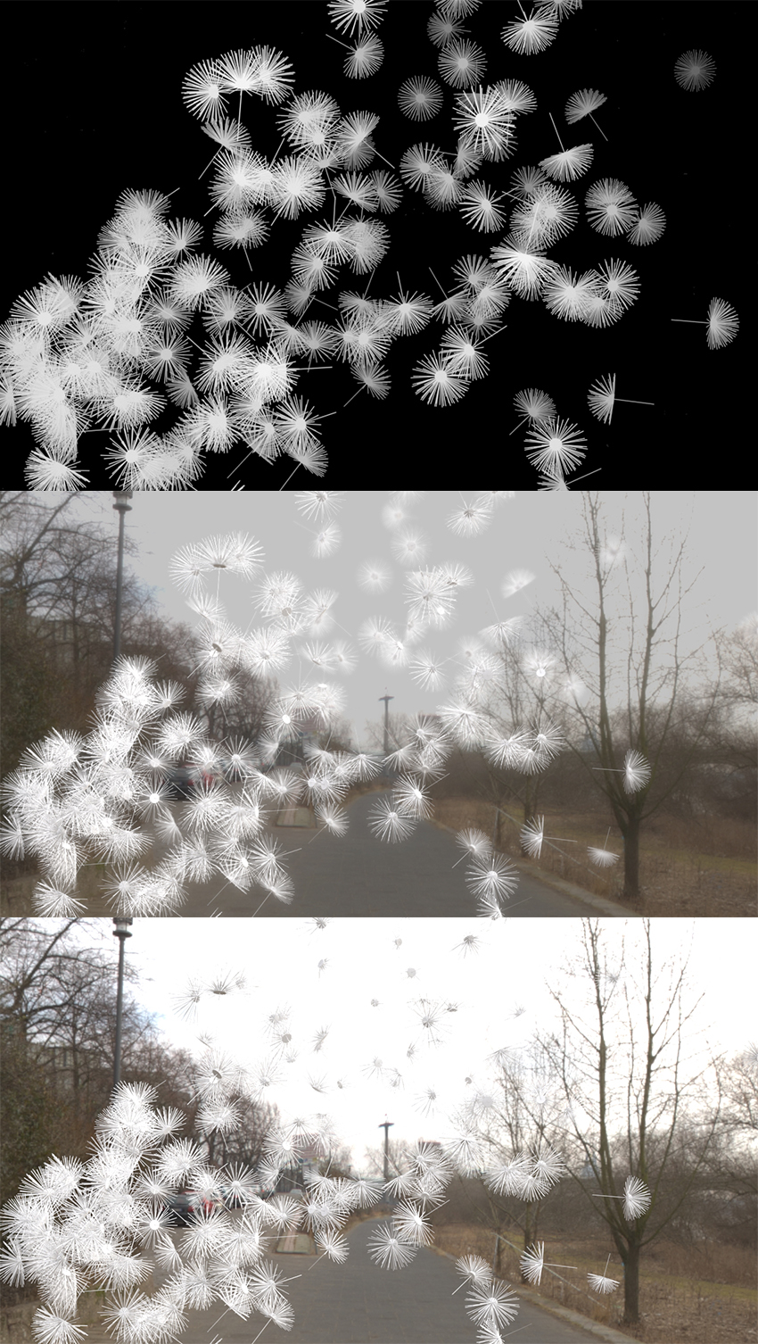 3DMax模拟蒲公英飞散的动画调节教程