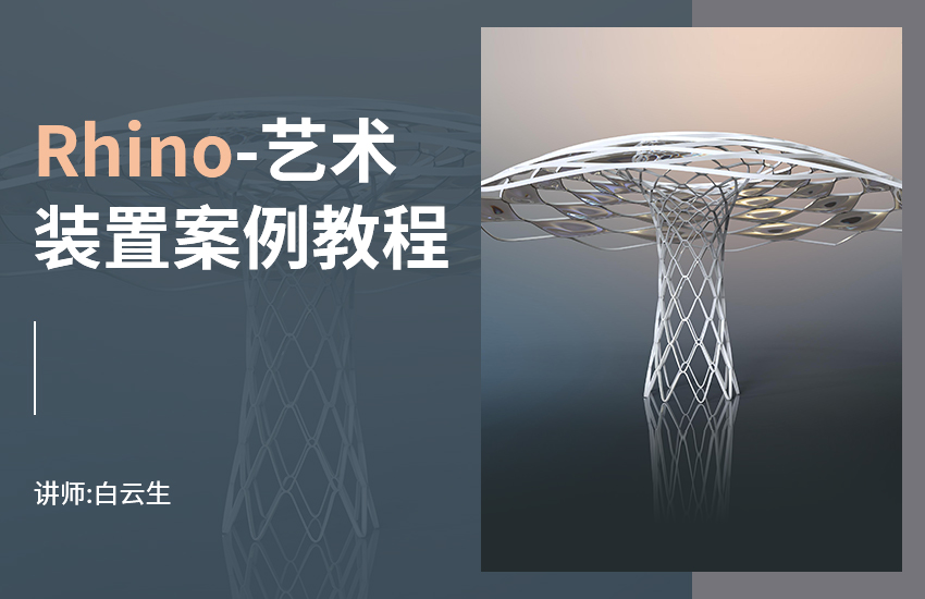 Rhino艺术装置案例