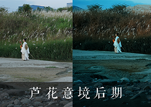 PS芦花意境人像后期修图教程