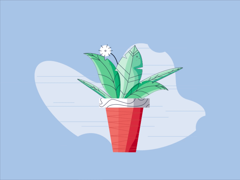 MG动画/AE入门教程