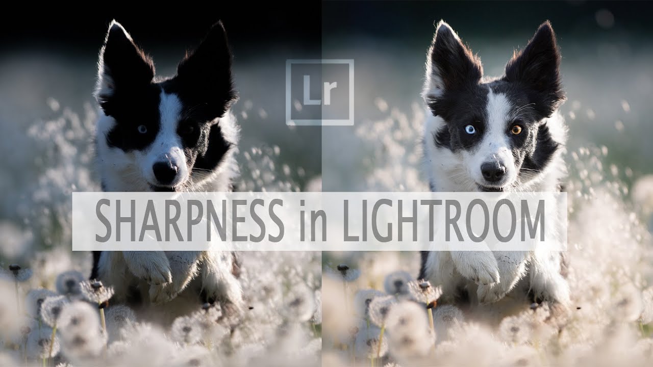 Lightroom照片锐化实例教程