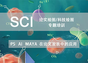 SCI论文配图/科技绘图 综合课程