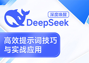 DeepSeek-高效提示词技巧与实战应用【深度唤醒】
