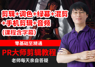 30天快速上手Pr创意剪辑视频教程（含手机剪映课程，含字幕）