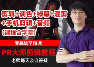 30天快速上手Pr创意剪辑视频教程（含手机剪映课程，含字幕）
