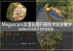 Megascans实景贴图扫描技术完全教学+3DMax写实级环境快速搭建