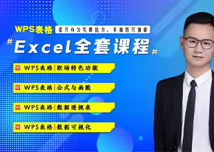 WPS-Excel表格系统课程（WPS表格特色功能、函数、数据透视表、图表）