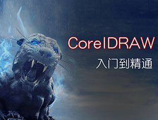CDR零基础入门教程