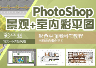 园林景观+室内设计PS彩平图视频教程 小清新写实彩色平面图