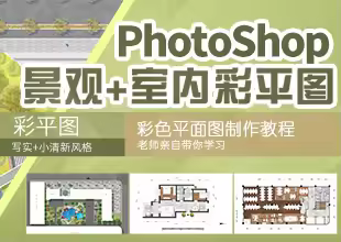 园林景观+室内设计PS彩平图视频教程 小清新写实彩色平面图